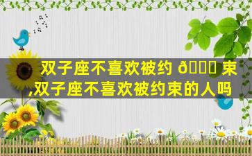 双子座不喜欢被约 🍀 束,双子座不喜欢被约束的人吗